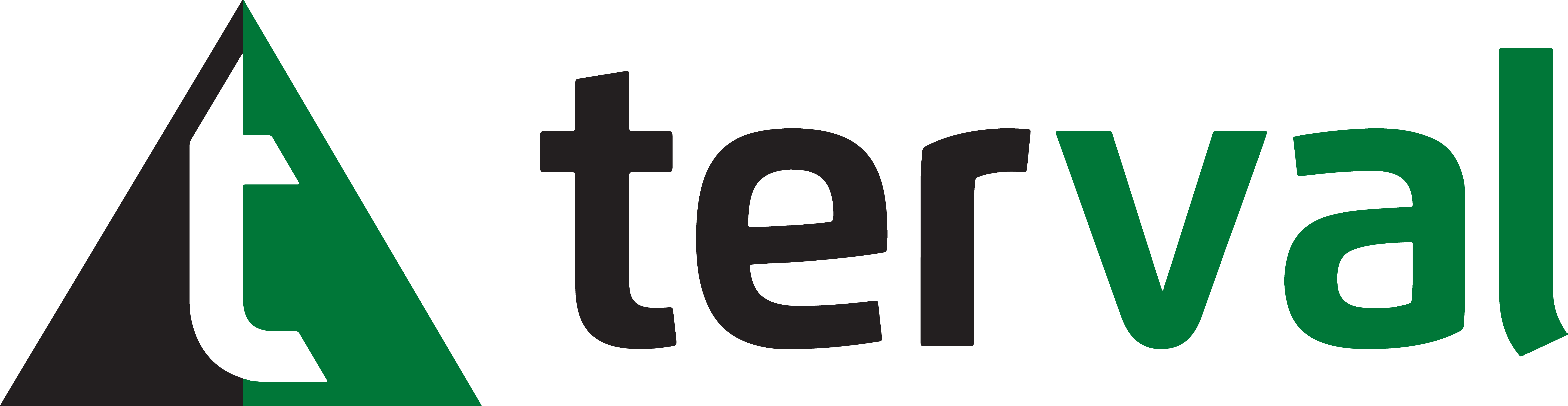TERVAL SA LOGO
