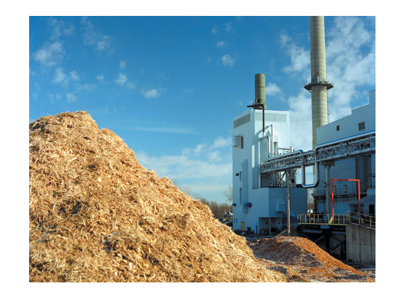 biomass plant